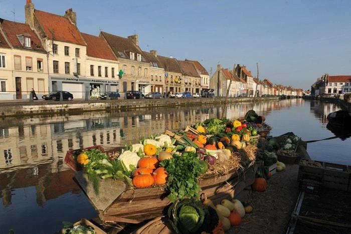 Bel Appart - Rez-De-Chaussee - Hyper Centre Saint-Omer  Zewnętrze zdjęcie